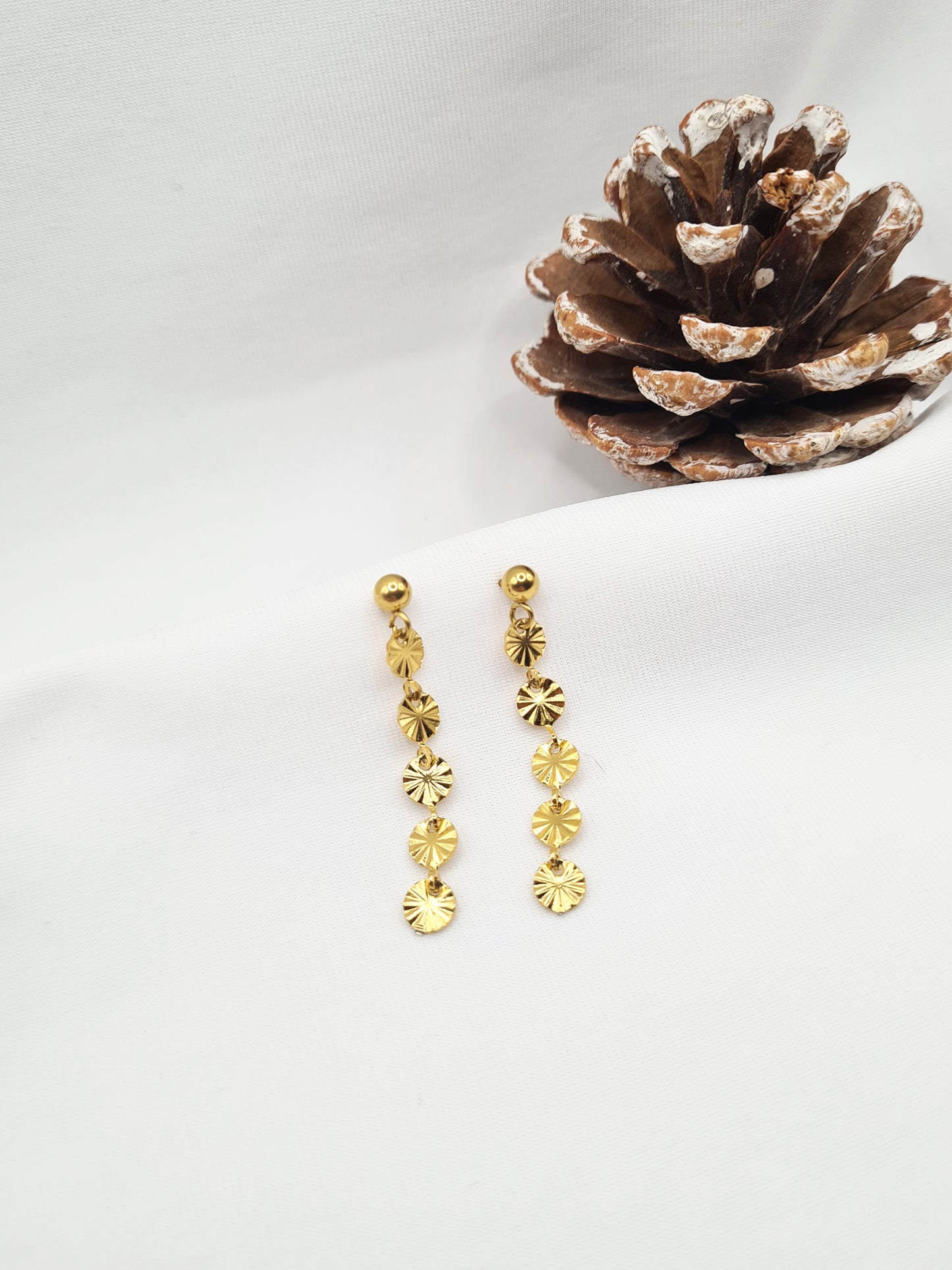 Jolyne sont des boucles d'oreilles en acier inoxydable