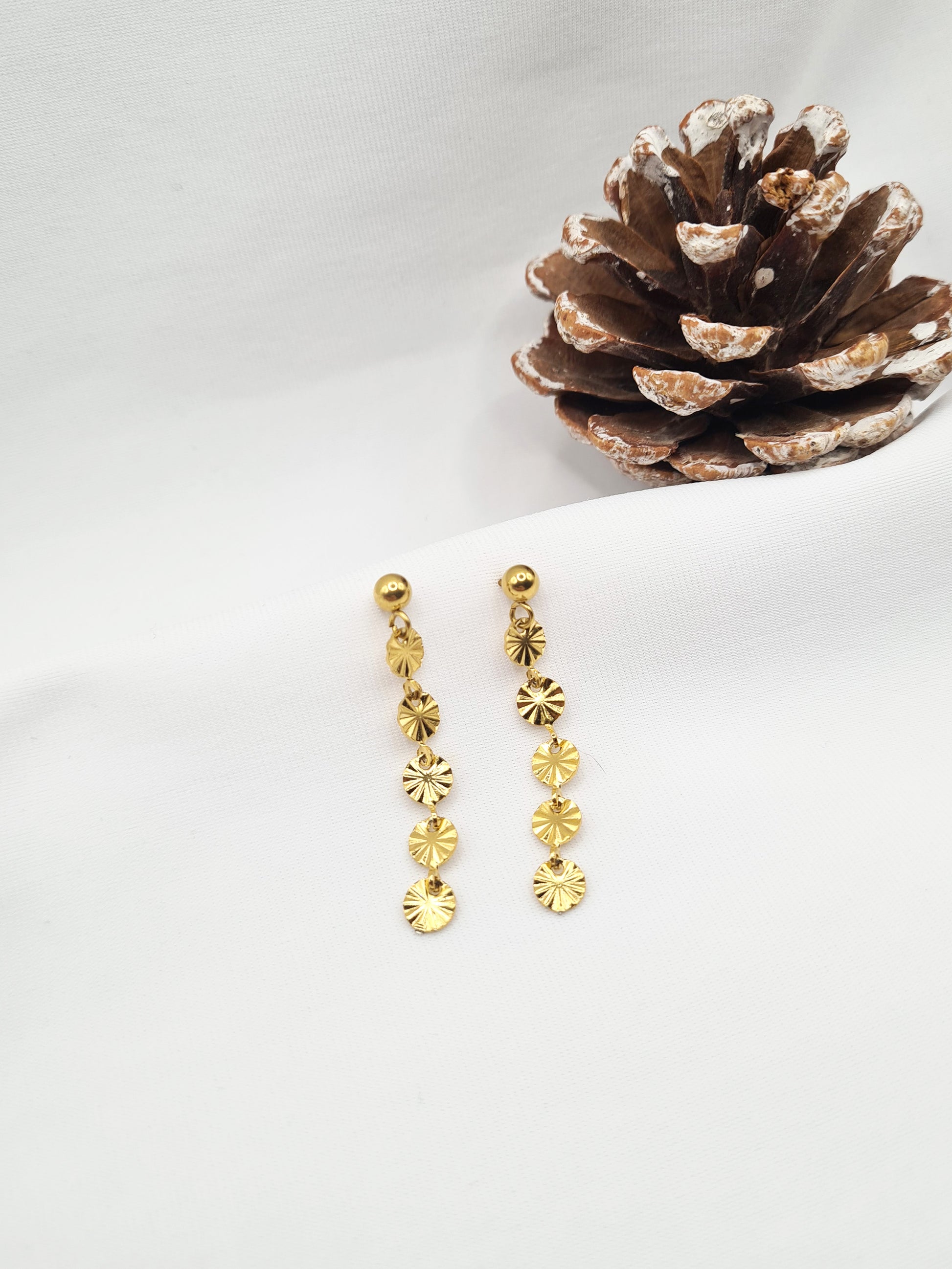 Jolyne sont des boucles d'oreilles en acier inoxydable